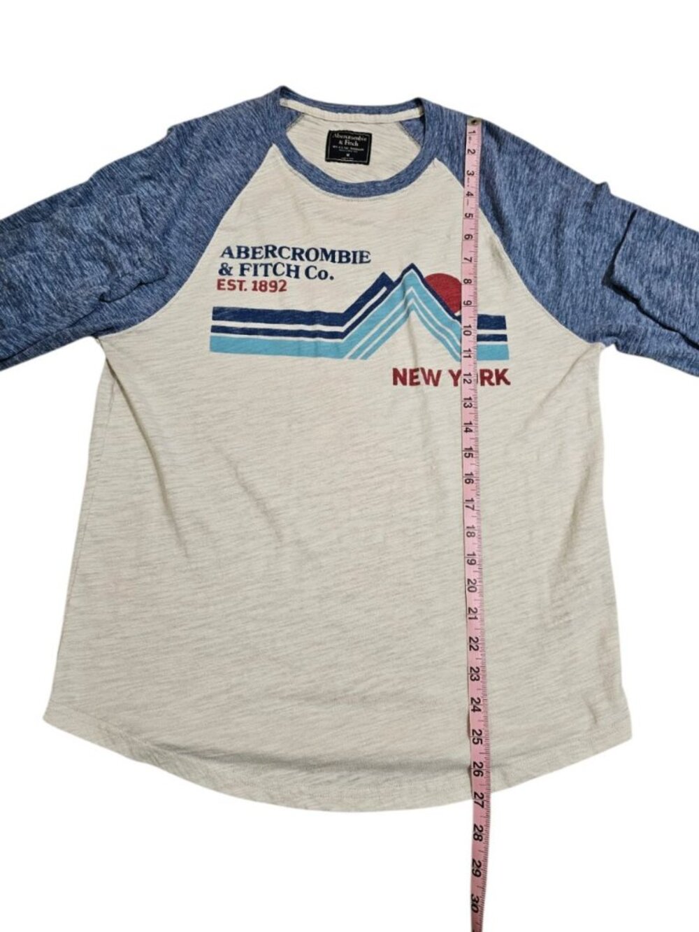 Abercrombie & Fitch Mens Medium Raglan Cream Blue Slub Graphic Tee Archival Prep - Picture 5 of 6